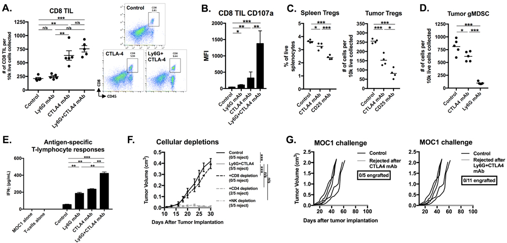 Immune correlative and functional analysis revealed partial Treg depletion, CD8