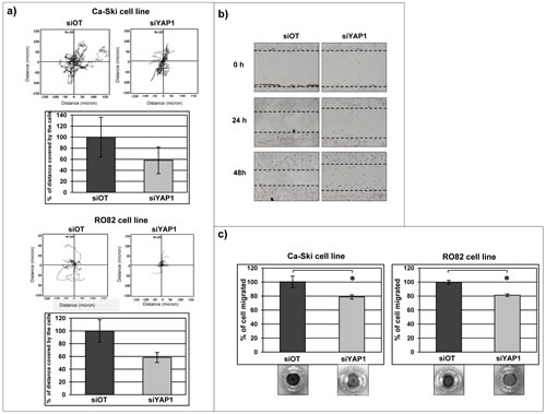 Figure 6: