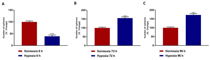 Mammosphere formation is reduced after acute hypoxia and increased after prolonged hypoxia.