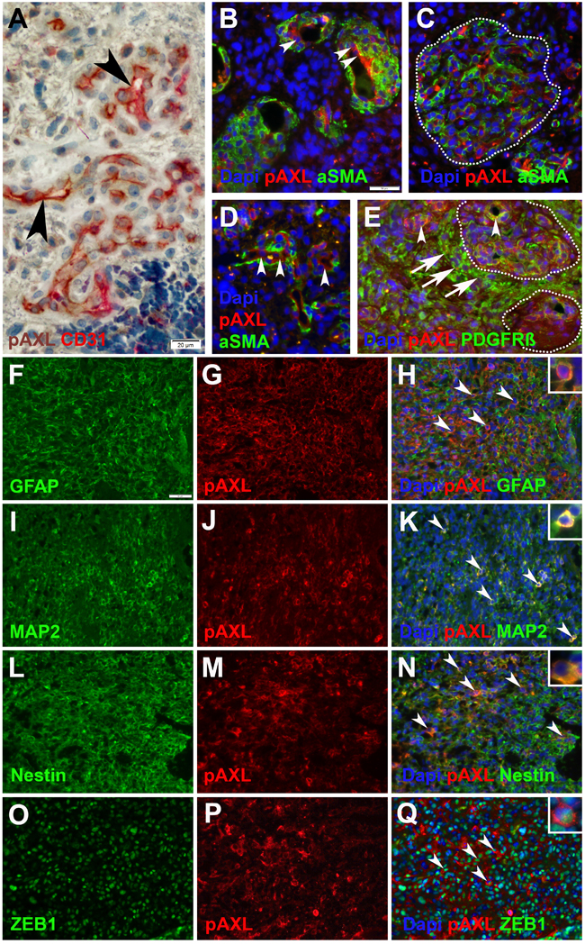 Figure 4: