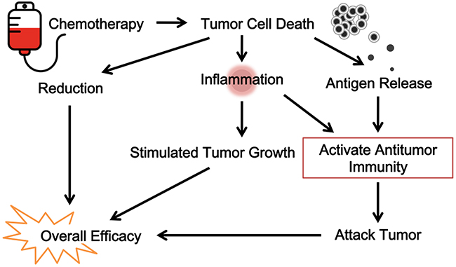 The immunological view of chemotherapy.