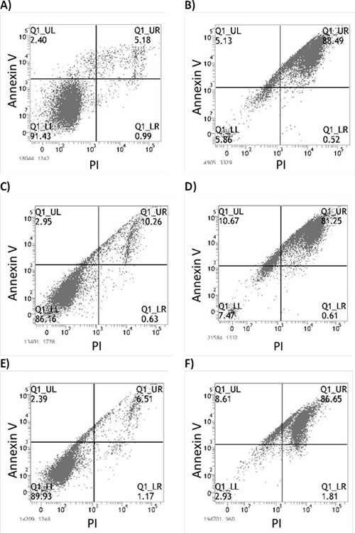 Flow cytometry assay for detection of early and late apoptosis through Annexin V and PI staining respectively.