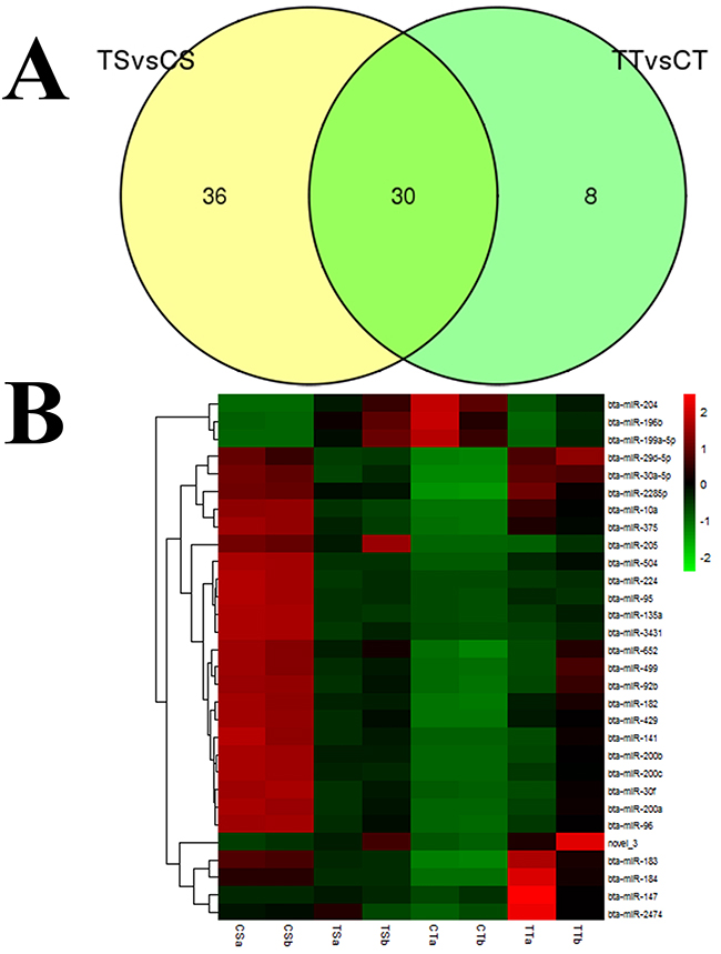 Differential expression of miRNAs analyzed in bovine endometrial epithelial cells treated with IFN-&#x03C4;.