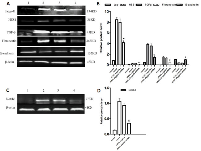 Figure 6: