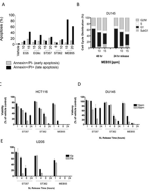 Strigolactone analogues induce cell death via apoptosis.