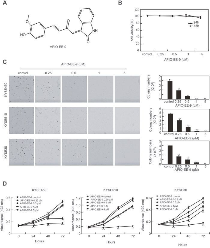APIO-EE-09 inhibits anchorage-independent growth and viability of esophageal cancer cell.