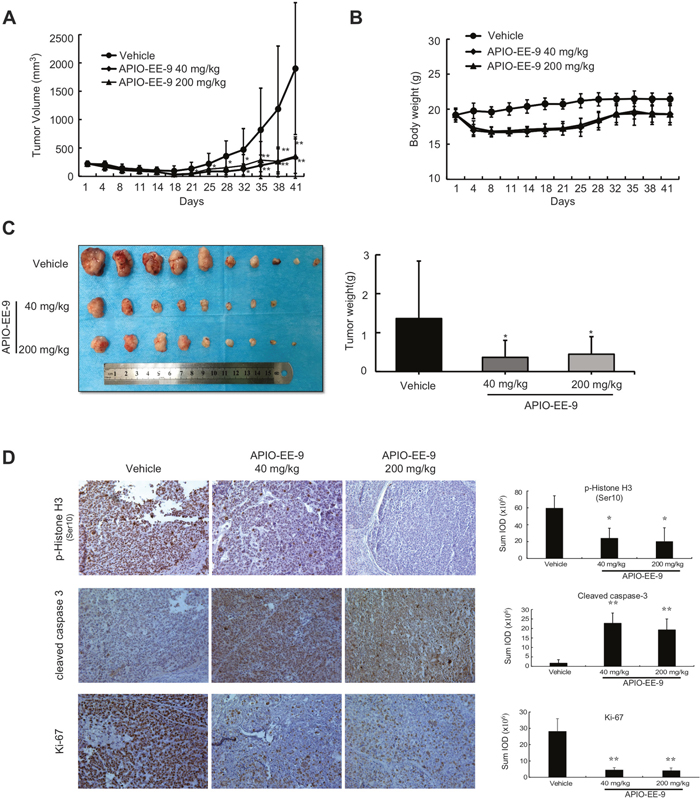 APIO-EE-9 suppresses esophageal PDX tumor growth.