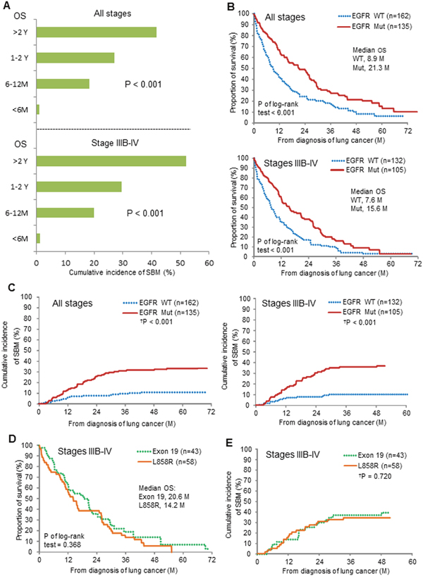 Correlation of mutated-EGFRs with subsequent brain metastases (SBM) in patients without BM at the diagnosis of NSCLC.