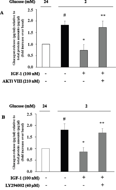 High IGF-1 concentrations inhibit glucagon secretion.