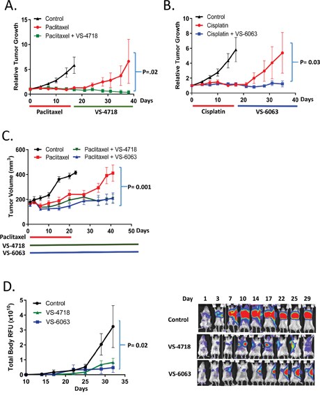 FAK inhibitors VS-4718 and VS-6063 delay tumor re-growth and development of metastasis.