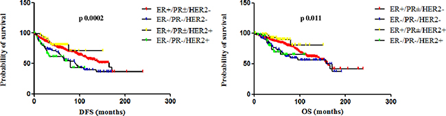 DFS and OS of ER+/PR&#x00B1;/HER2&#x2212;, ER-/PR-/HER2&#x2212;, ER+/PR&#x00B1;/HER2+ and ER&#x2212;/PR&#x2212;/HER2+ (treated with adjuvant trastuzumab).
