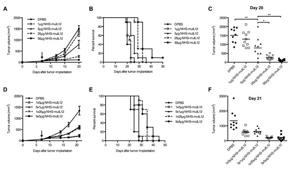 The anti-tumor activity of NHS-muIL12 is dose-dependent and is unaffected by dose fractionation.