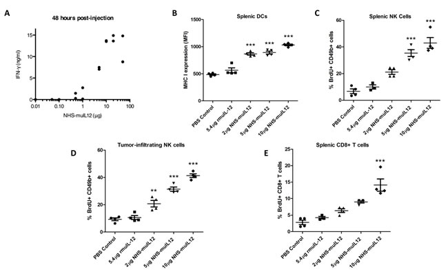 Immune activation markers correlate with increasing doses of NHS-muIL12.