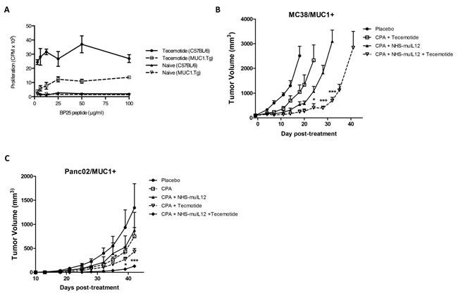 The combination of NHS-muIL12 with an experimental cancer vaccine enhances the anti-tumor response.