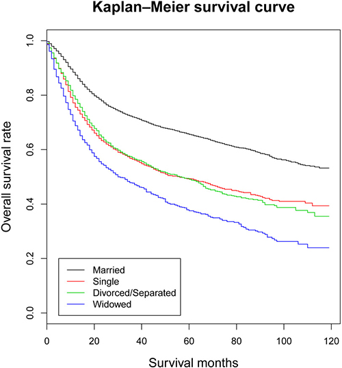 Kaplan-Meier survival curves: the overall survival in patients with oral tongue squamous cell carcinoma according to marital status.