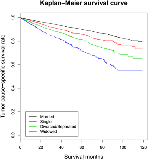 Kaplan-Meier survival curves: the tumor cause-specific survival in patients with oral tongue squamous cell carcinoma according to marital status.