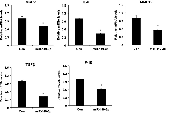 miR-149* regulates liver cell inflammatory response in HepG2 cells.
