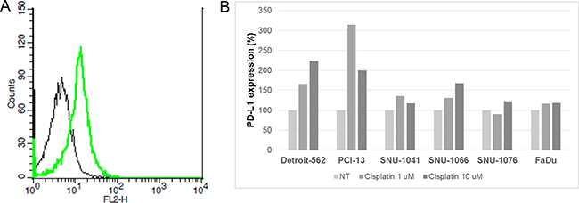 Increased PD-L1 expression by cisplatin treatment in HNSCC cells.