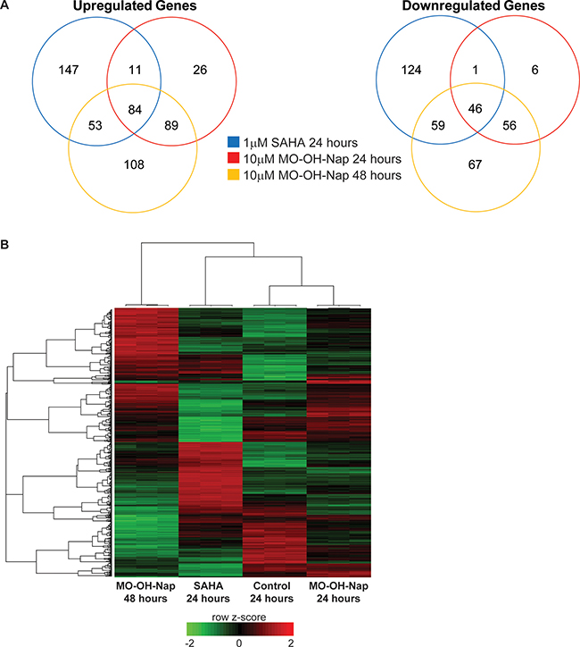MO-OH-Nap and SAHA induce distinct patterns of gene expression.