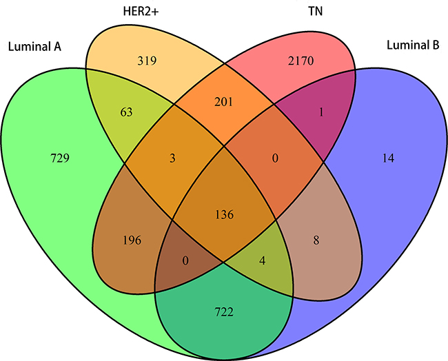 Venn diagram showing overlapping and unique subtype-specific genes.
