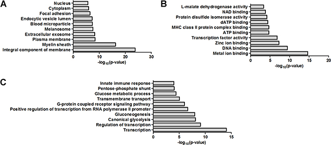 Bioinformatics analysis of the dysregulated proteins by GO analysis.