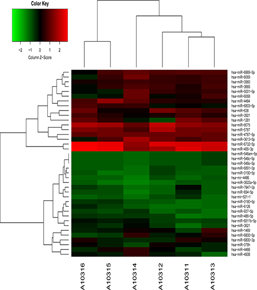 Hierarchical clustering analysis for specific miRNAs expression profile (39 aberrantly expressed exosomal miRNAs) in serum exosomes of patients with CRC.