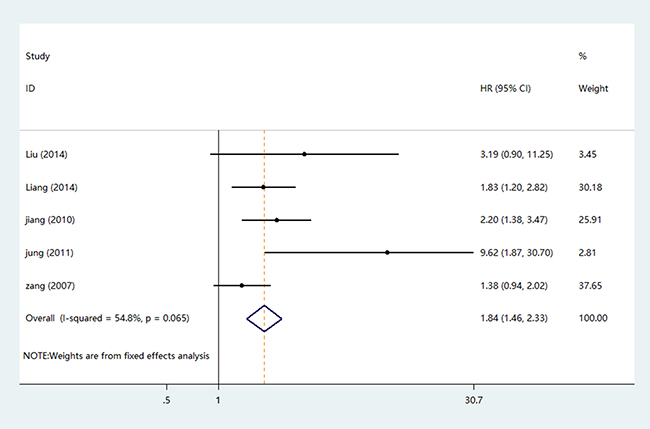 The forest plot of HRs for DFS.