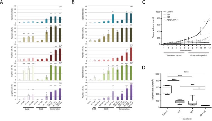 Simultaneous inhibition of BRD4 and CDK9 synergistically induces apoptosis in rhabdoid tumor cells in vitro and inhibits cell proliferation in vivo.