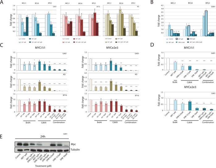 Down-regulation of anti-apoptotic genes and MYC expression in response to combined CDK9 and BRD4 inhibition.