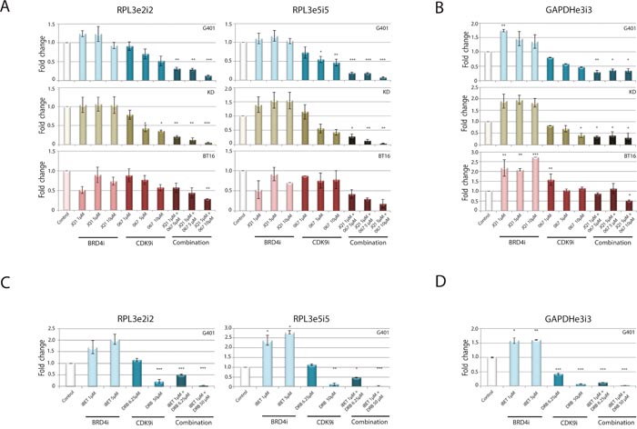 Combined BRD4 and CDK9 targeting acts synergistically on inhibition of general transcription.