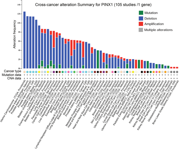 PinX1 gene alteration in 105 studies selected from cBioportal.
