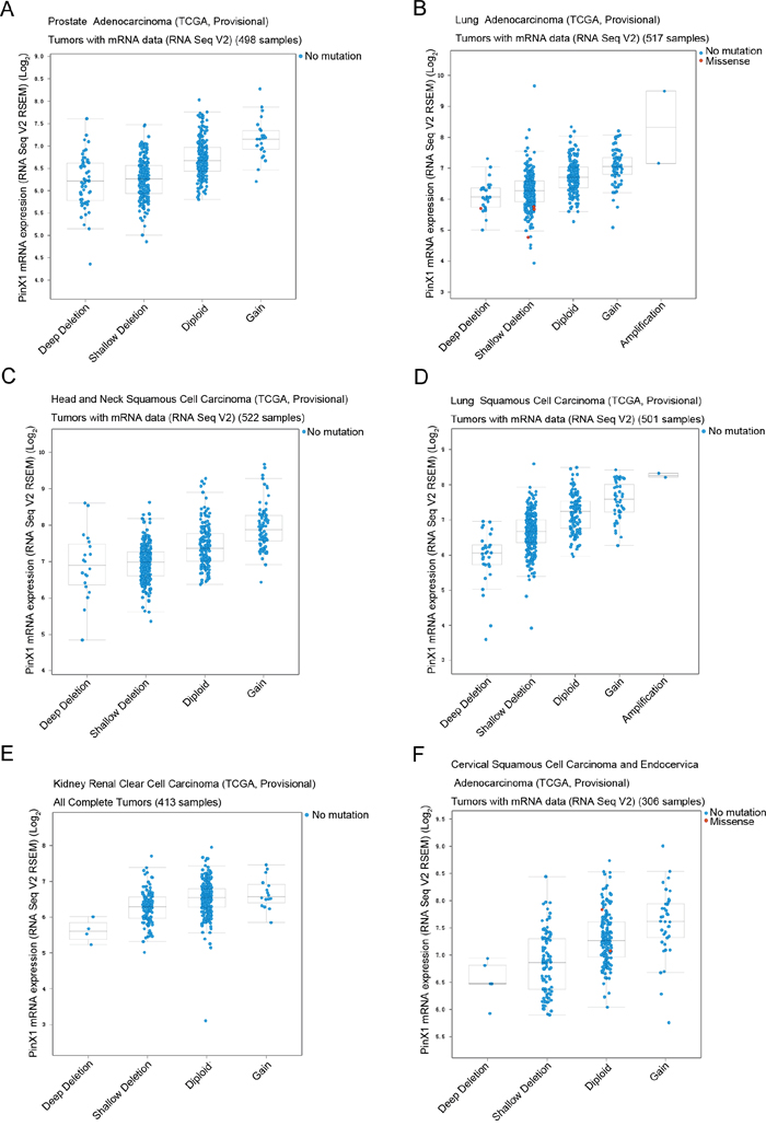 PinX1 genetic profile in six types of cancer selected using cBioportal.