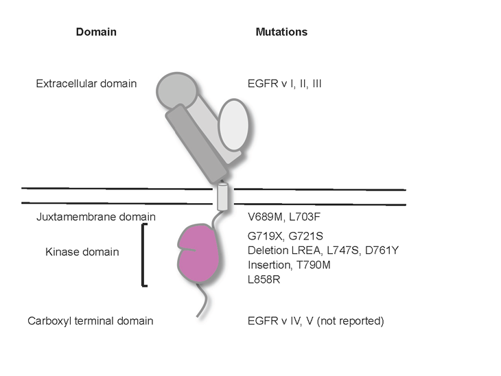 OncoTargetfigures093010final.pdf