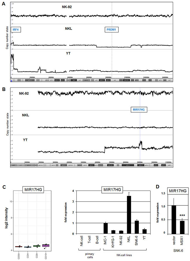 Genomic aberrations at chromosomes 6 and 13 in NK-cell lines.