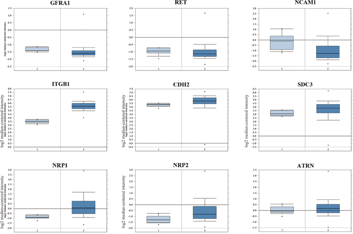 Analysis of candidate membrane receptors for GDNF in human glioblastoma patient samples.