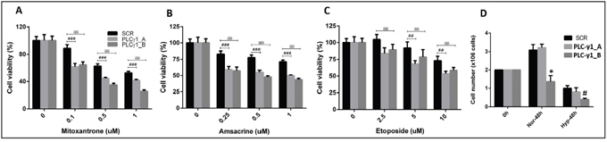 Functional importance of PLC-&#x03B3;1 in kasumi-1 cells under stress conditions (chemotherapeutic drugs and hypoxia).