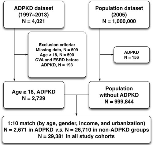 Flowchart of the patient enrollment for the ADPKD group and the matched non-ADPKD group.