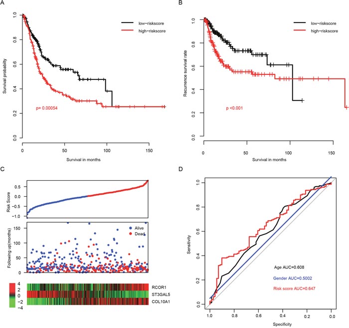 Performance of risk score in the training dataset (TCGA).