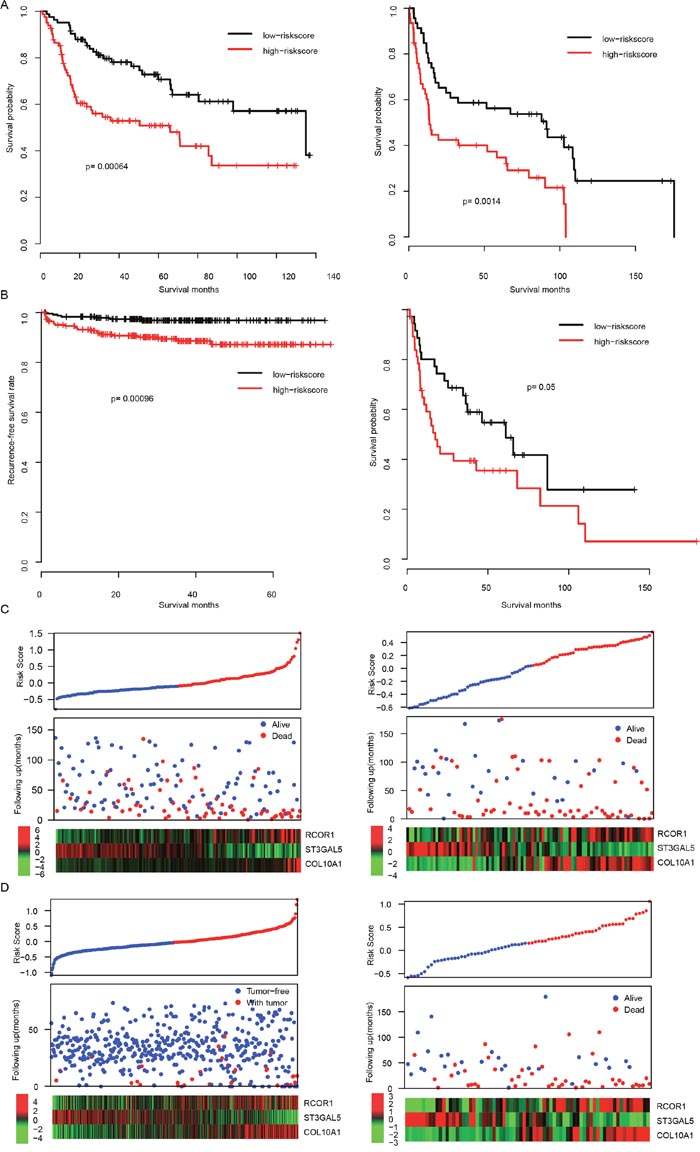 The performance of risk score in validation dataset.