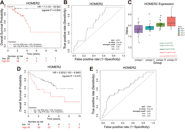 Further screening and validation of novel overall survival candidate biomarkers by survival and ROC curve analyses.