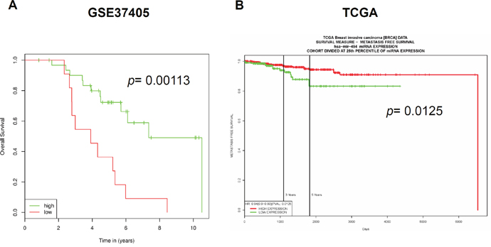 The expression of miR-494 is negatively correlated with survival time of breast cancer patients.