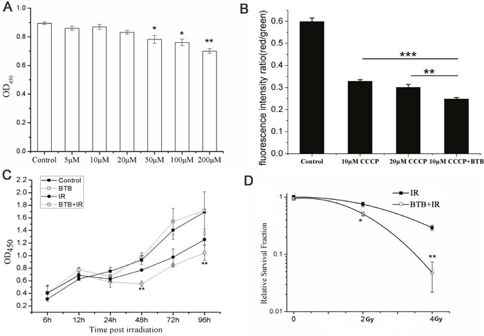 Combination of BTB with X-ray radiation (IR) increased radiation sensitivity in A549 by inhibiting F1Fo ATPase.