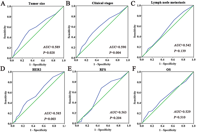 ROC curves were used to determine the cutoff score for the expression of Ano1 in breast cancer patients.