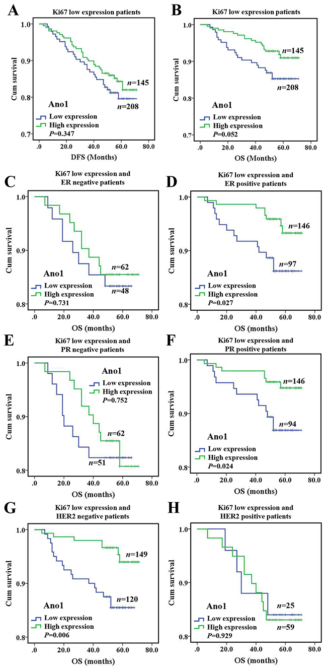 Kaplan-Meier survival analysis of Ano1 expression in breast cancer patients with the low expression of Ki67.
