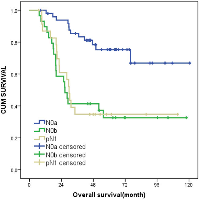 Kaplan-Meier curves of N0a, N0b and pN1 on survival outcomes.