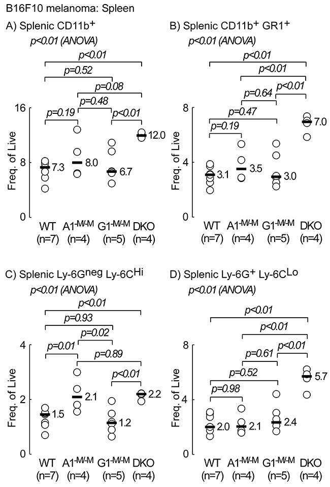 Animals with myeloid-specific deletion of both ABCA1 and ABCG1 transporters (DKO) exhibit higher frequencies of splenic CD11b&#x002B;, CD11b&#x002B;GR1&#x002B;, monocytic and granulocytic MDSCs.