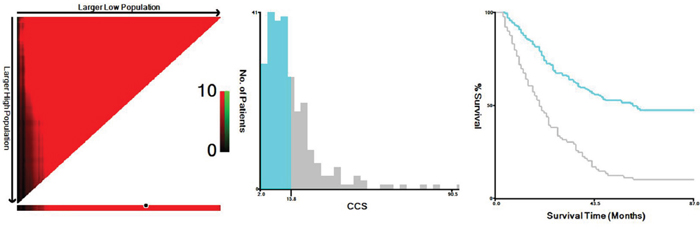 X-tile analysis for CCS.