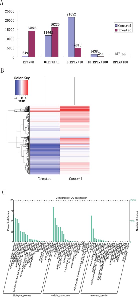 Analysis of RNA-seq data from the sperm with or without LL+P+RNases-treatment.