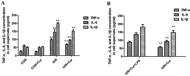 Figure 3: