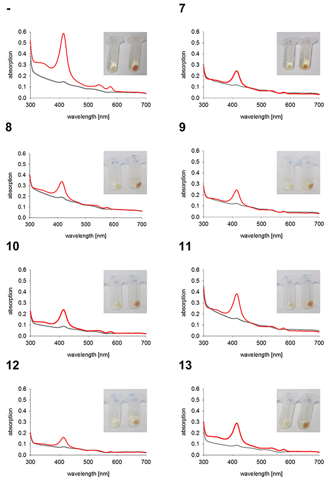 Hemoglobin synthesis experiments in K562 cell lines expressing anchorless HO-1.